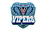 create a custom sports team style logo